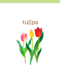 Three colors tulips  on moss green JP