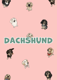dachshund6 - light coral