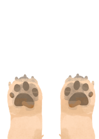 Pug foot