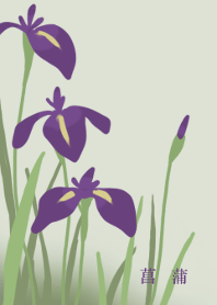 Iris flower