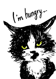 はらぺこ猫