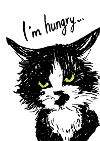 Hungry cat 2017