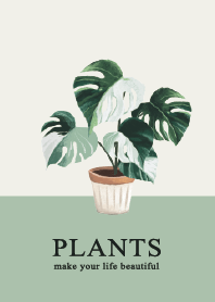 簡約植物(觀葉)系列-2023