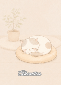 Cozy Lazy Cat: Akemitsu
