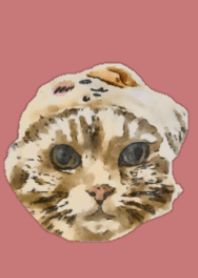 mydearcatpink