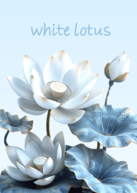 Elegant white lotus