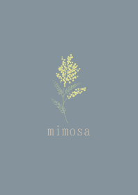 mimosa simple blue
