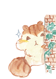The cutest chipmunk "Kiraris"