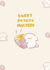 simple maltese sweet potato beige.