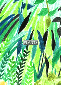 PLANT 016