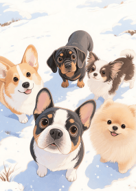 Love Cute Small Dog Gang Theme