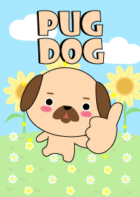 Happy Pug Dog Land Theme
