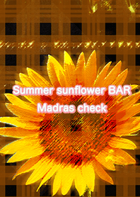 Summer sunflower BAR Madras check