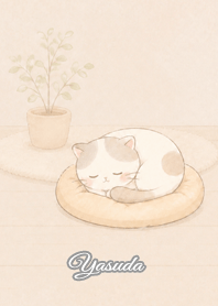 Cozy Lazy Cat: Yasuda