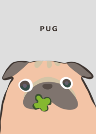 Pug maru