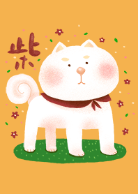 柴犬日子