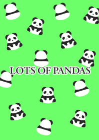 LOTS OF PANDAS/NEON GREEN/BLACK