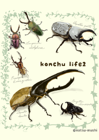 konchu life 2