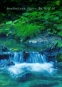 Headwaters Photo #6-14 Not AI