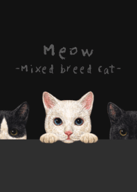 Meow - Mixed breed cat 02 - BLACK/GRAY