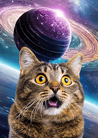 【 宇宙猫 】驚き顔ver