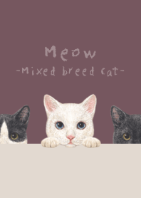 Meow-Mixed breed cat 02-DUSTY ROSE