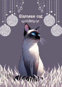 Siamese cat for lucky