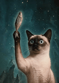 Starry Sky Mystery-Cat 1.1