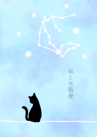 【12星座】水瓶座と猫