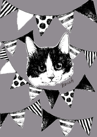 空を見上げる猫 ハチワレ