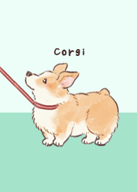Corgi-chanTheme