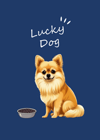 น่ารักสุนัขปอมเมอเรเนียน(สีกรมท่า)