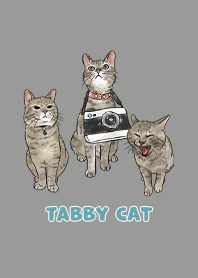 tabbycat11 - dim grey