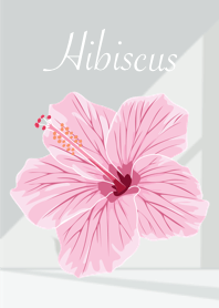 Flowers : Hibiscus