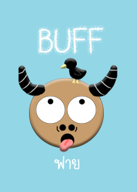 Buffalo buff