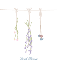 Dried Flower Line主题 Line Store