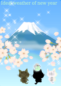 3cat plus 1 and ideal weather