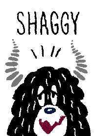 SHAGGY