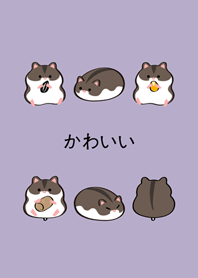 我養的楓葉鼠(莫蘭迪紫色)