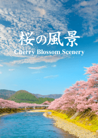 桜の風景 vol.5