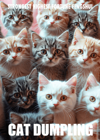 Cat dumpling 07