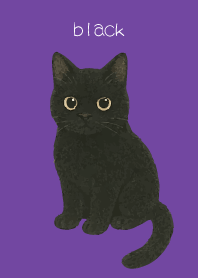 Round Black Cat2 on purple