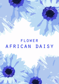 FLOWER AFRICAN DAISY...