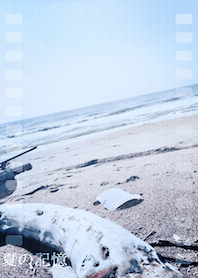 Summer memory .