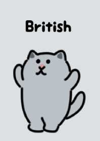英國短毛貓