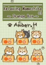 放鬆的狗 03 -日本狗 橘子盒-