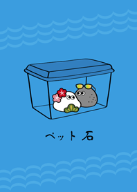 옷을 입다애완 동물결석!(써니 블루)