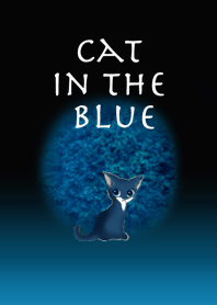 Cat in the blue