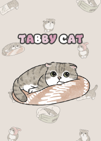 tabbycat10 - dark beige