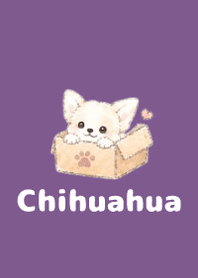 Sketch Chihuahua Purple 05